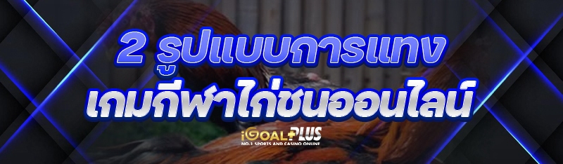 สูตรเดิมพัน เกมไฮโลออนไลน์ สูง-ต่ำ